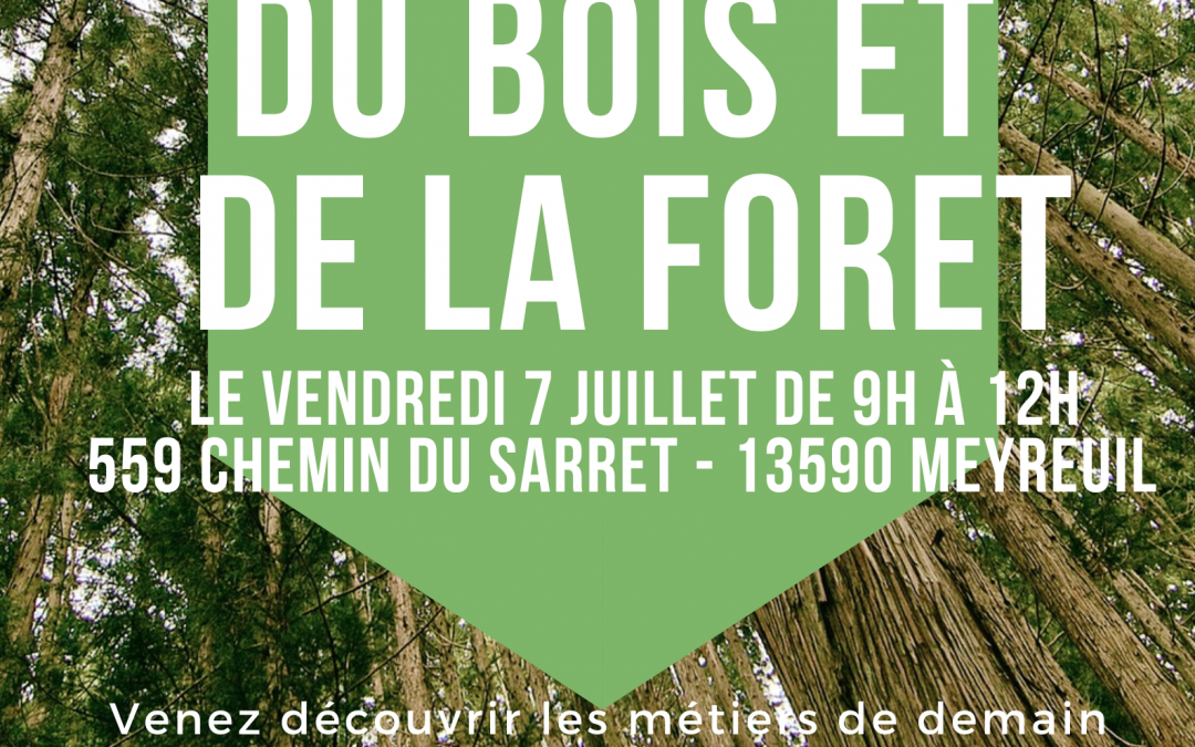 Matinale des métiers du bois et de la forêt – 07/07/2023